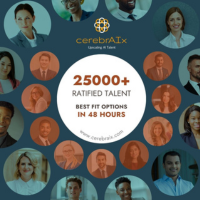 Hire A Data Engineer At Cerebraix